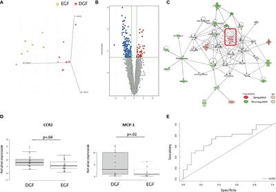 Pre-Transplant Expression of CCR-2 in Kidney Transplant Recipients Is Associated With the Development of Delayed Graft Function